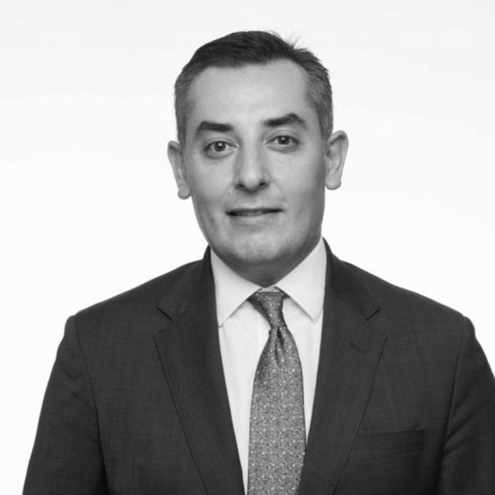 Irakli Elashvili - Co-Founder Alpha Capital Advisory, Investment Banking Expert Georgia
